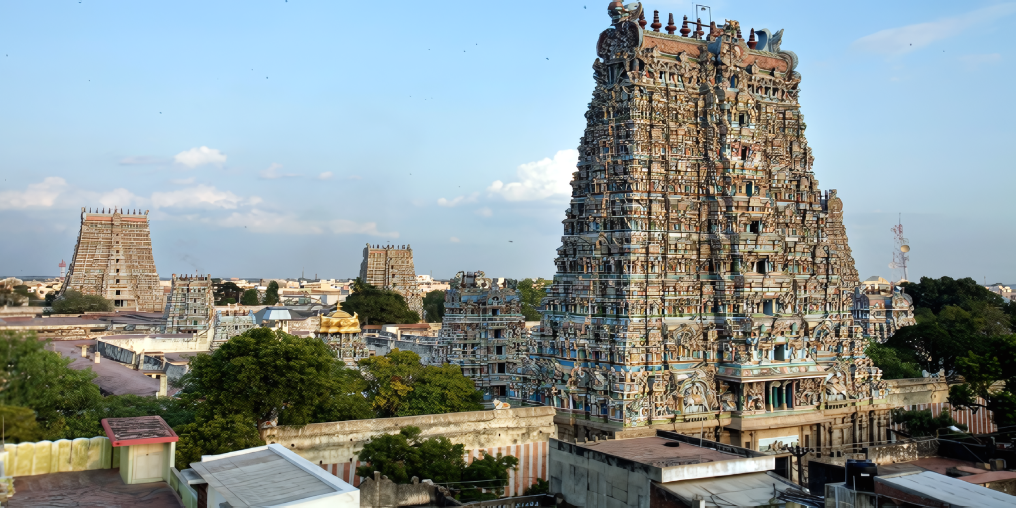 Explore New Opportunities with eTender Tamil Nadu