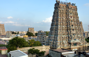 Explore New Opportunities with eTender Tamil Nadu
