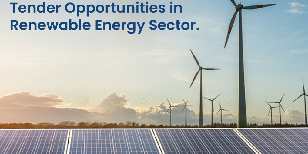 Tender Opportunities in the Renewable Energy Sector